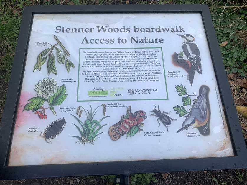 Stenner Woods.
