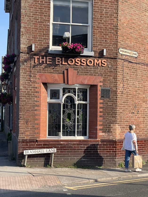 The Blossoms.