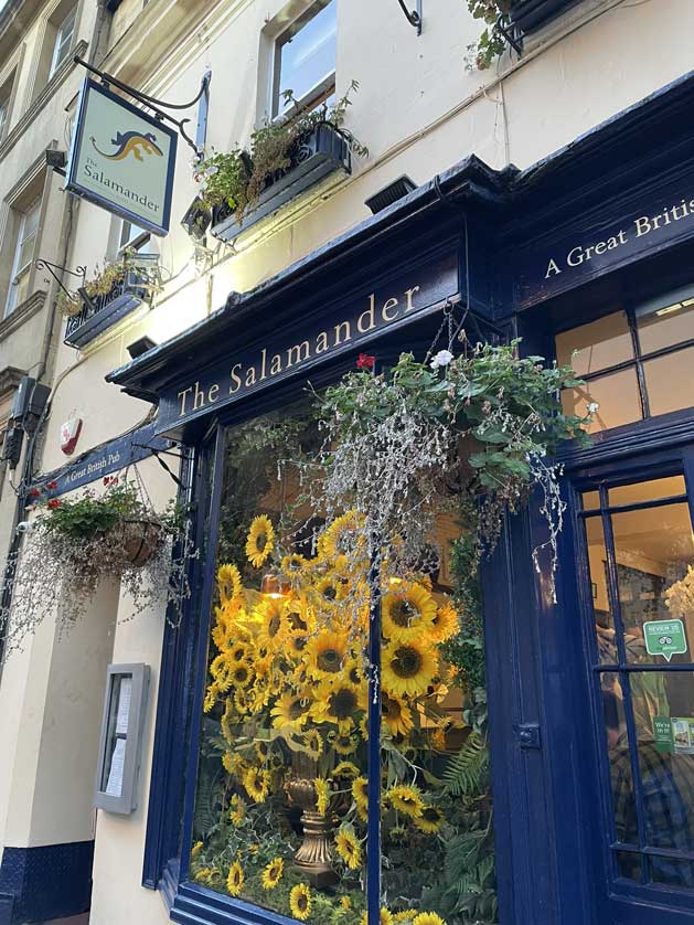 The Salamander, Bath.