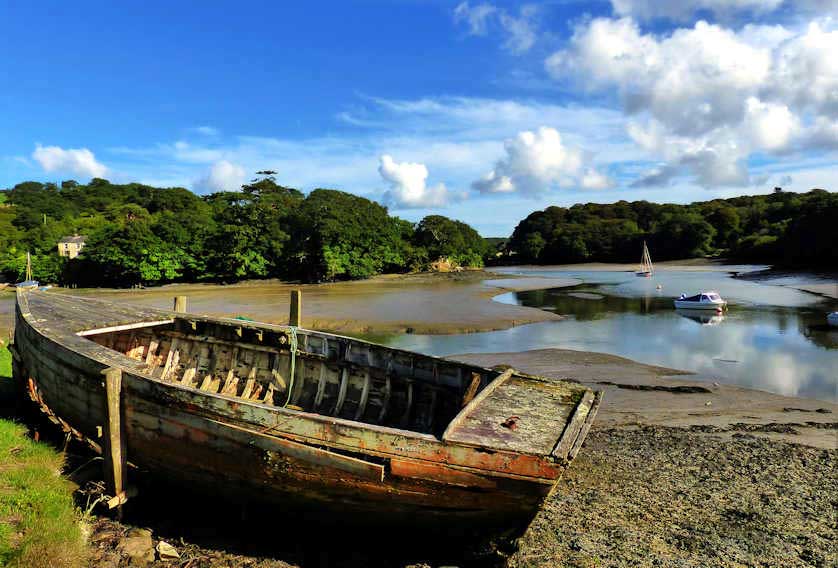The tributaries of the Fal estuary can be viewed from river tour boats.