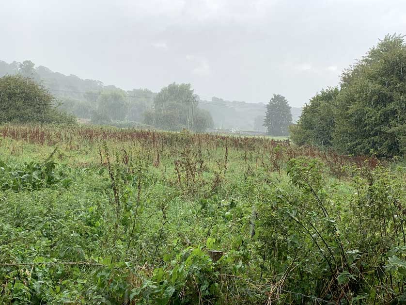 The town is surrounded by some lovely Hertfordshire countryside.