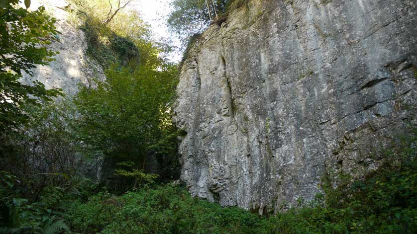 Ebbor Gorge in Somerset.