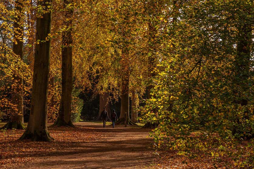 Westonbirt, The National Arboretum.