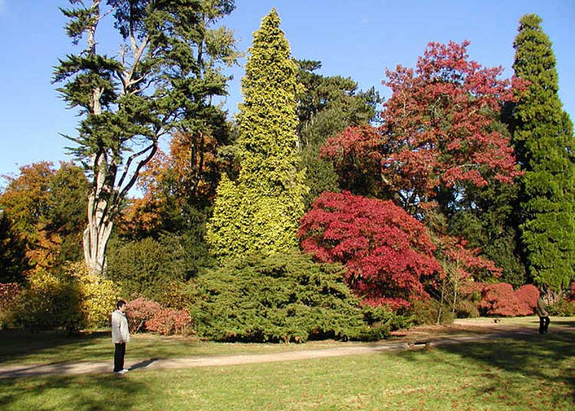 Westonbirt near Cirencester in the Cotswolds.