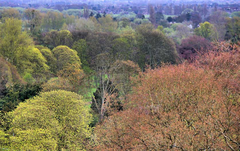 Windsor Great Park covers 5,00 acres and includes woodland walks.