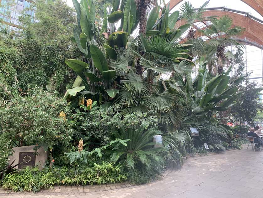 Sheffield's Winter Garden is the largest urban glasshouse in Europe.