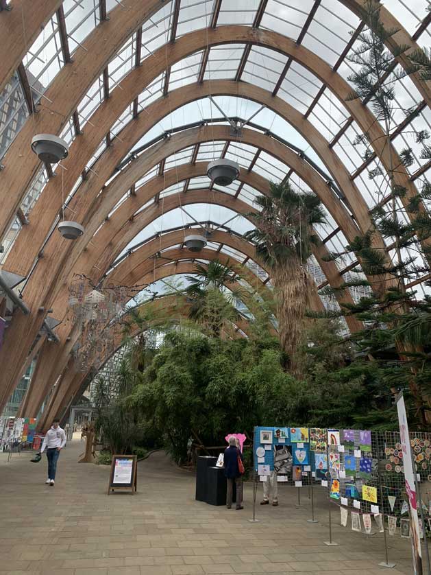 The garden is in the center of Sheffield.