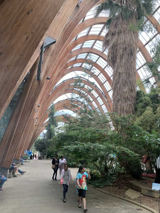 The space is a relaxing place to sit or stroll.