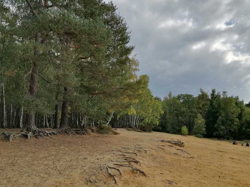 The Sandpits at Horsell Common in Woking.